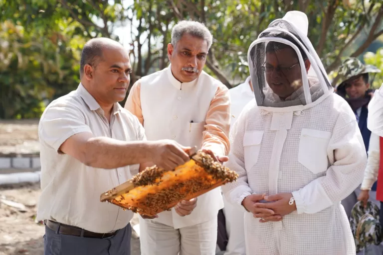 Department of horticulture : मुख्यमंत्री आवास परिसर में किया गया शहद प्रसंस्करण का कार्य