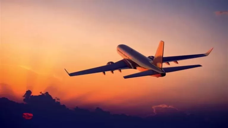 Air India : सिडनी जा रहे विमान में लगे तेज झटके, कई यात्री घायल