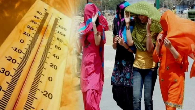 Heat stroke : हीट वेव को लेकर स्वास्थ्य मंत्री की हाई लेवल बैठक