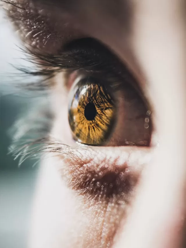 8 WORST FOODS FOR HUMAN EYES