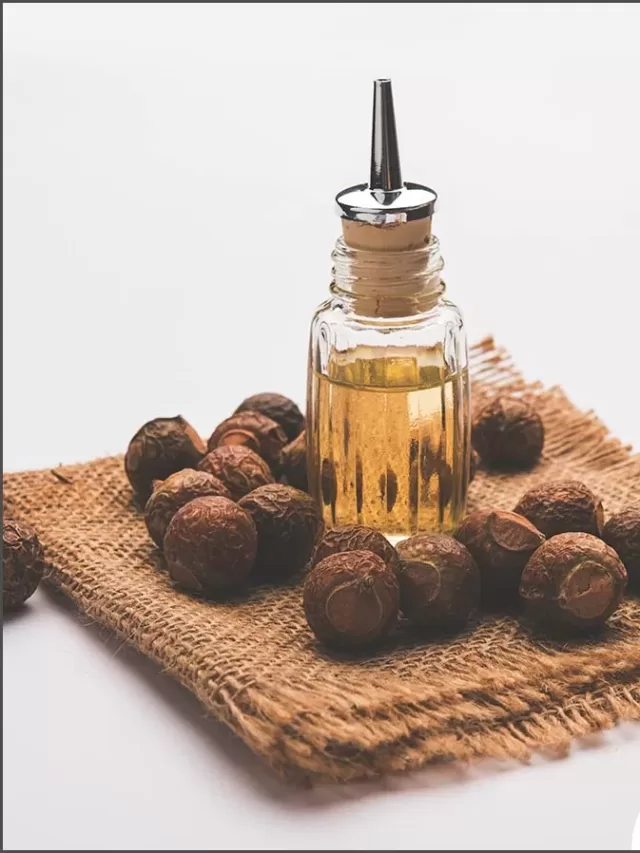 Benefits of Reetha for Hair Care