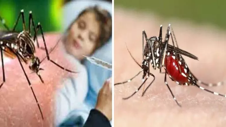Dengue In india : देश में डेंगू का बड़ा खतरा, स्वास्थ्य मंत्रालय का अलर्ट- बरतें सावधानी