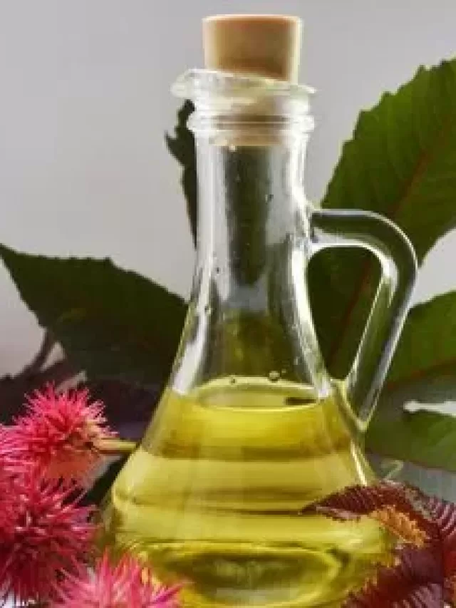 Outstanding Castor Oil Uses and Benefits