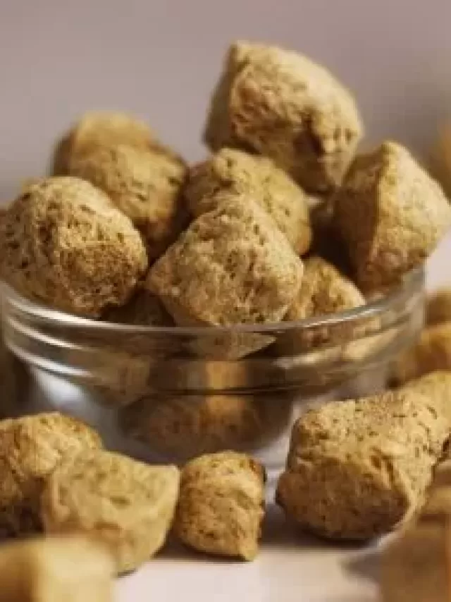 High Protein Foods For Vegetarians