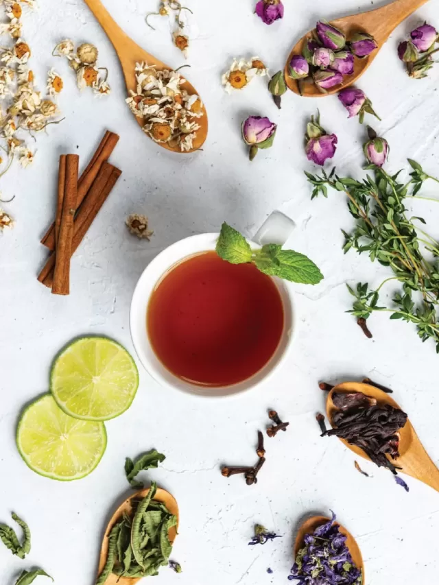 9 Best Herbal Teas You Should Try