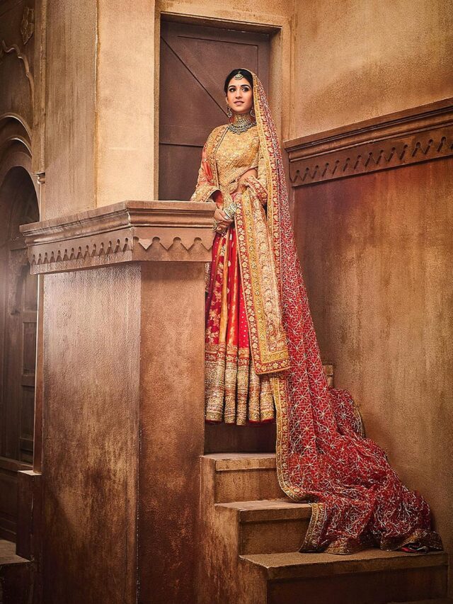 Best celebrity looks from the Ambani reception